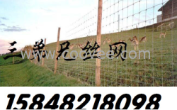 围栏网网围栏